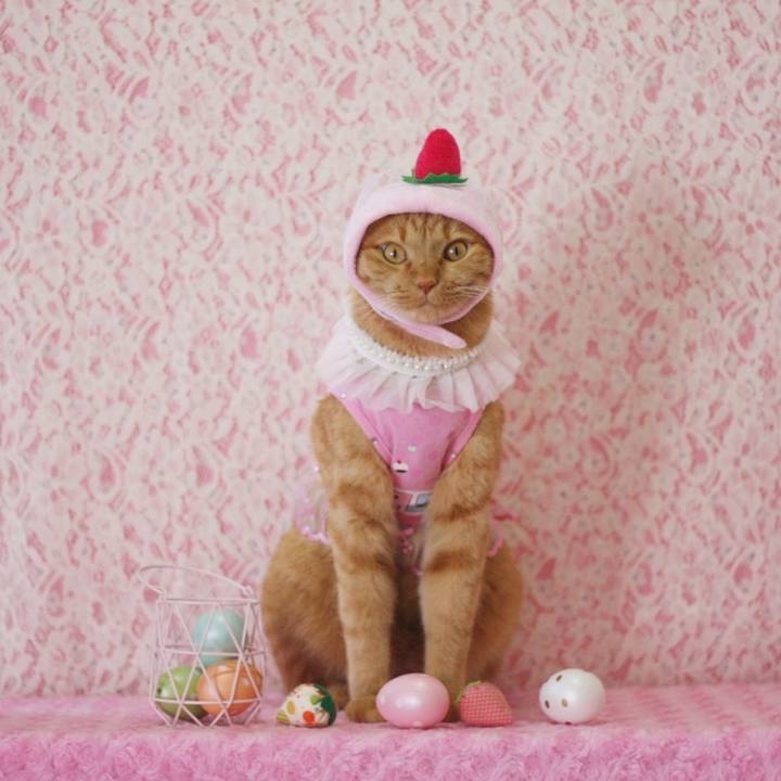 9f642fc3 618c 4de6 af15 6f8ab31ba8f3 1656841575115