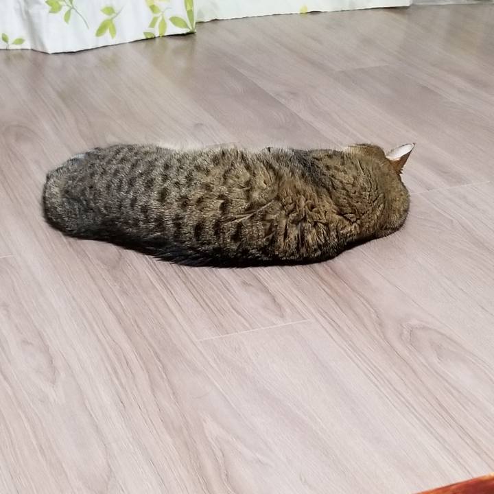 9f64311c effe 47cb bad2 c440ad19b306 1578129080403