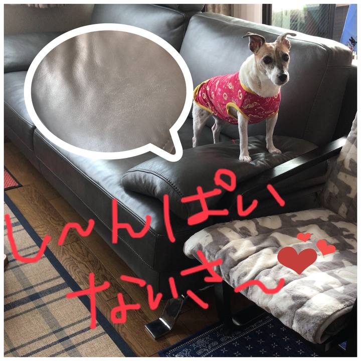 9f643e91 622e 4214 b111 674268419282 1507690828403