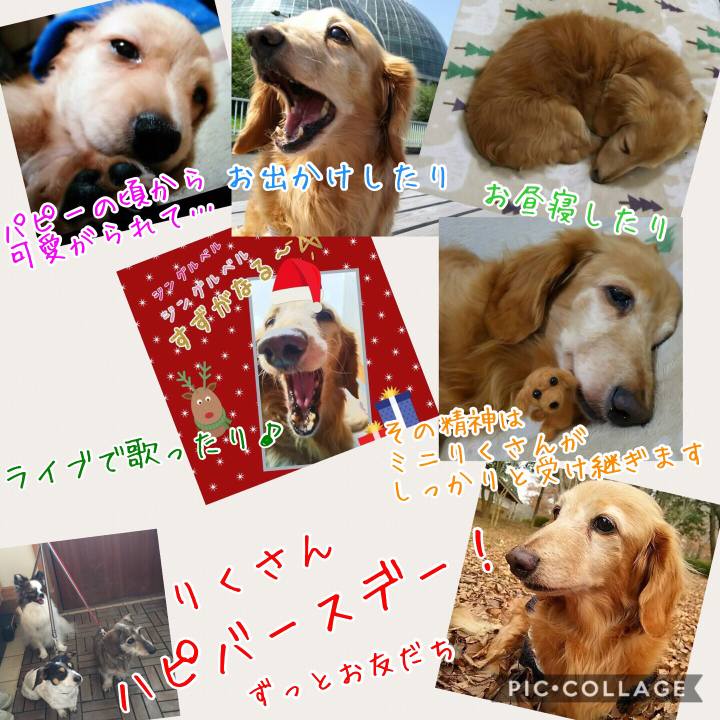 9f64be1c 3cf6 4238 a4f4 81b7ddc02b86 1525751656358