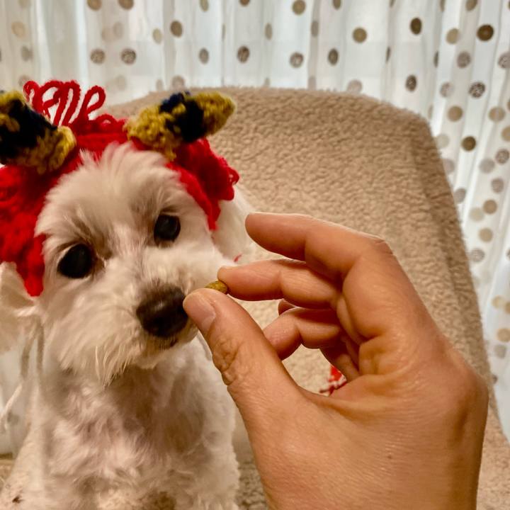 9f64c79c ad8c 435f 84fa b6284b89afc7 1738482188078