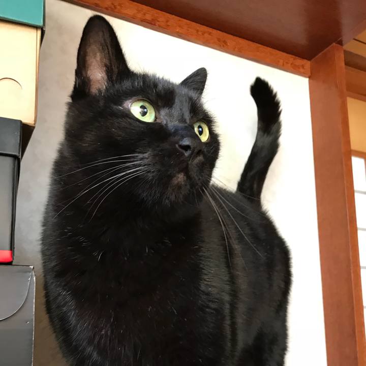 9f6500c6 7ce8 43de ab16 ed2d0449972e 1518834346371