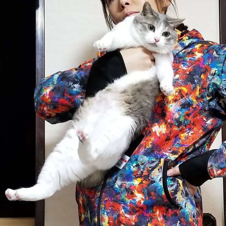 9f6511ff e5a0 4557 bebf 2e4d6dcf6518 1642258466450