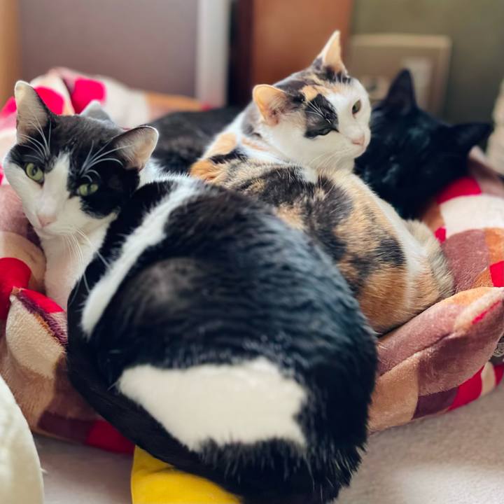 9f6580fb 4f0e 4c21 98dd bac8c3a9f076 1641345748940