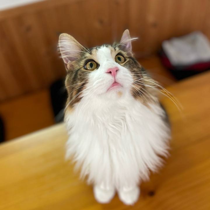 9f65c4a0 3126 4899 835c e8e0f7dc7adf 1648159405154