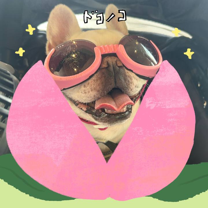 9f65d5a6 e071 43e9 bac9 7f2a54976186 1772191373342