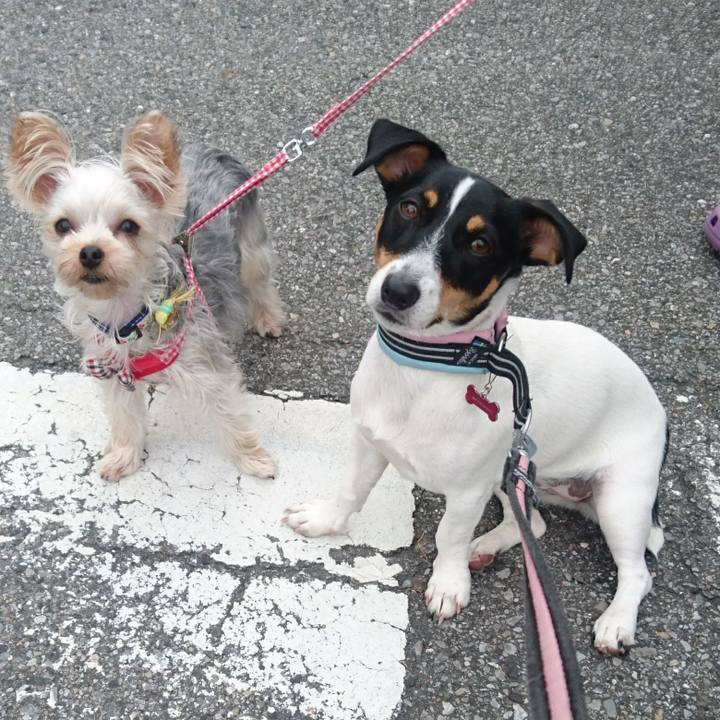 9f65e4fc 9bdb 4d4f 9076 0f3edea362ab 1538962409218