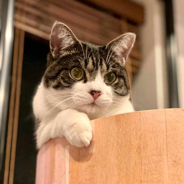 9f65e79e 0f9d 4332 af38 29fa9ee7ee82 1763994904422