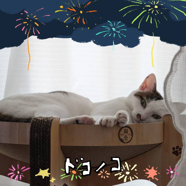 9f6615da e3b6 4137 9d48 6a5139891d64 1723418565249