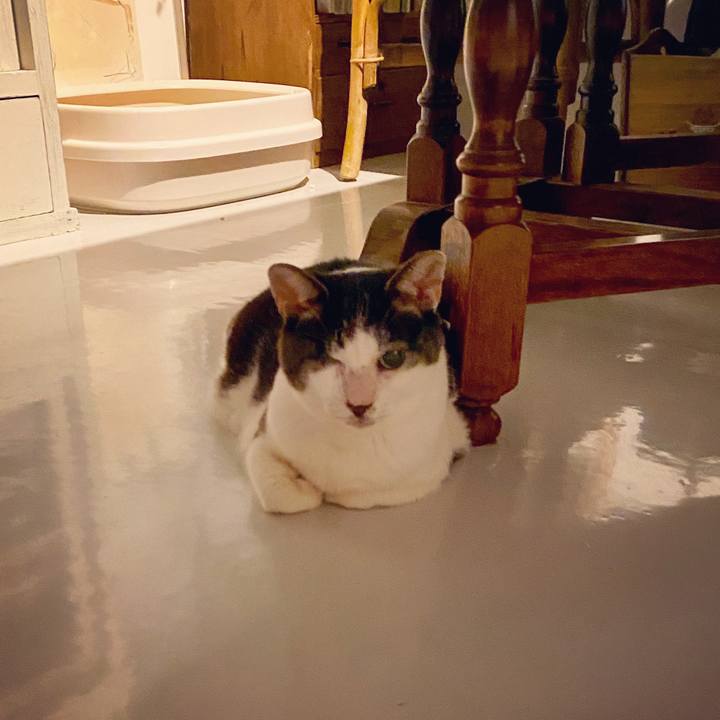 9f6659fb 0215 44bb be20 3399b2f6729d 1599214773668