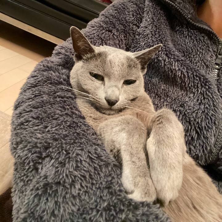 9f666fb6 5ea6 4bb5 a2e3 2e7ca35ee9c8 1578994315079