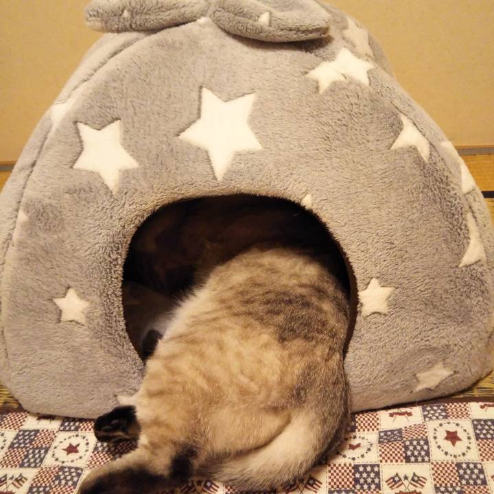 9f668bbc 7057 4207 89e0 86db14434f4a 1540820237650