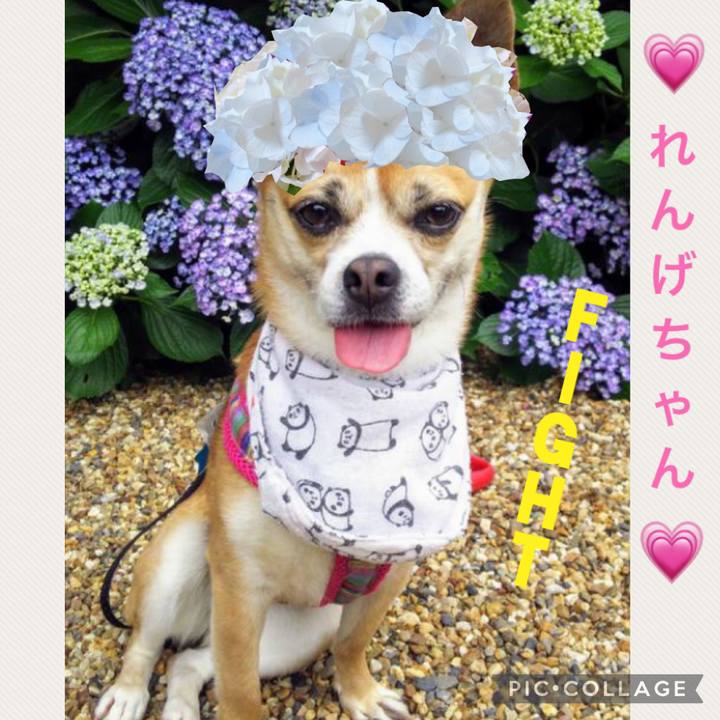 9f668c87 830f 419c 9d8b 14dc5ed57433 1624356641409