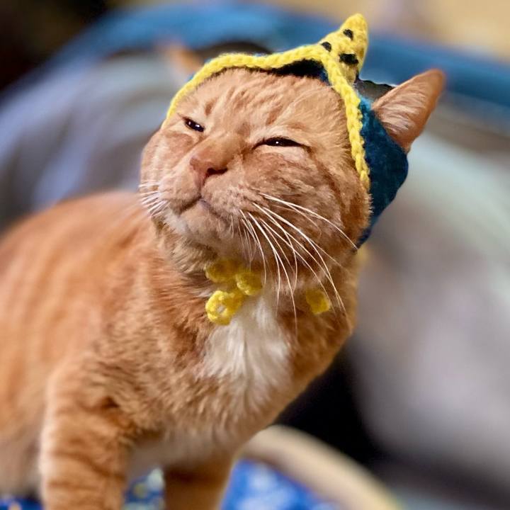 9f668ece fc0b 4001 8e50 df2d0364776f 1770075713275