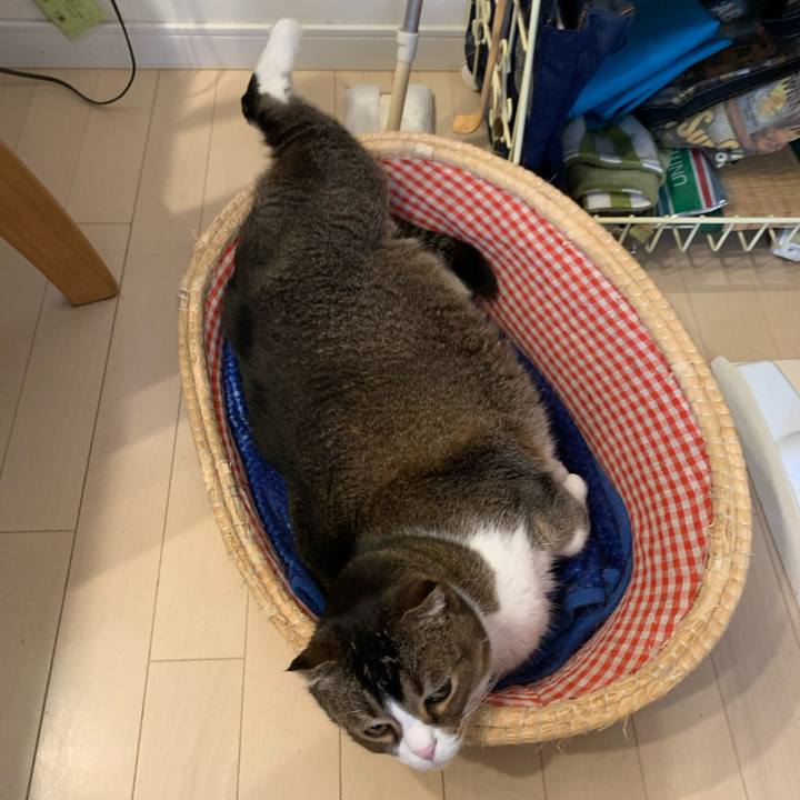 9f66b397 b8d9 4905 baa1 55e3b6ffb4a1 1705235949332