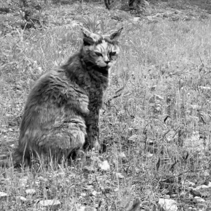 9f66df51 29bb 4fce 8196 3ab1311f05e6 1747275057567