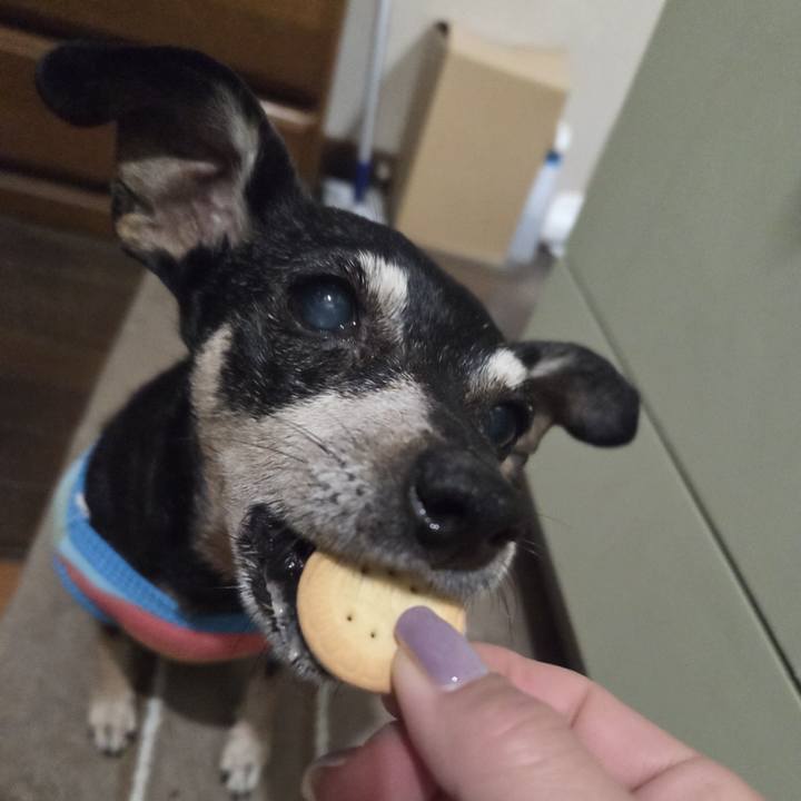 9f66e698 2f46 4926 b828 681cdf1104e7 1767815262818