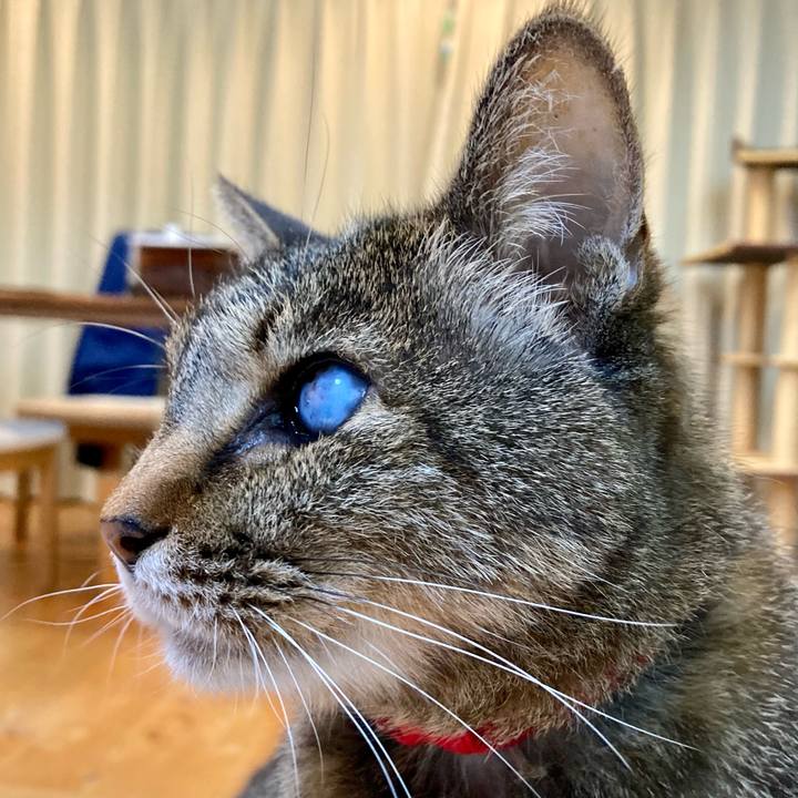 9f66fc58 ba37 4e41 b2af 24e096c031f1 1650112487127