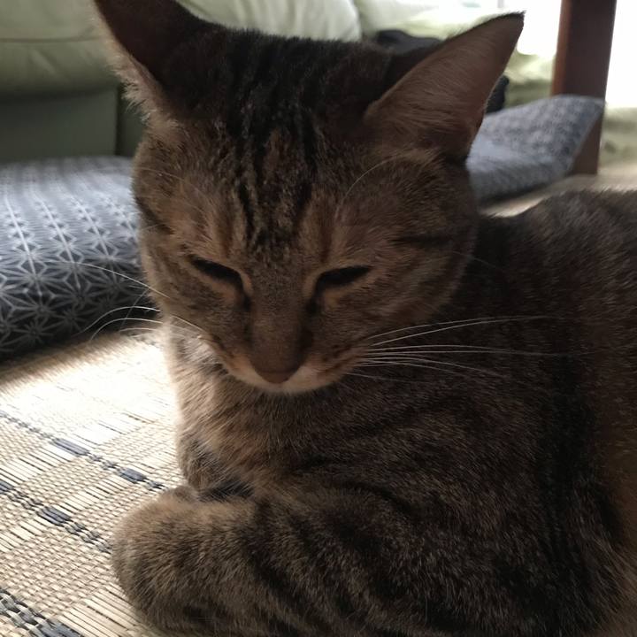 9f6700b9 78f0 4058 aef0 0e0579975e64 1597274986332