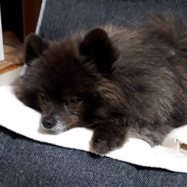 9f671a40 2918 4be0 9efd d4979b9d453d 1520626549028