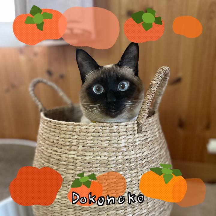 9f676752 a100 48f8 bace 2ee173a42b25 1763940050556