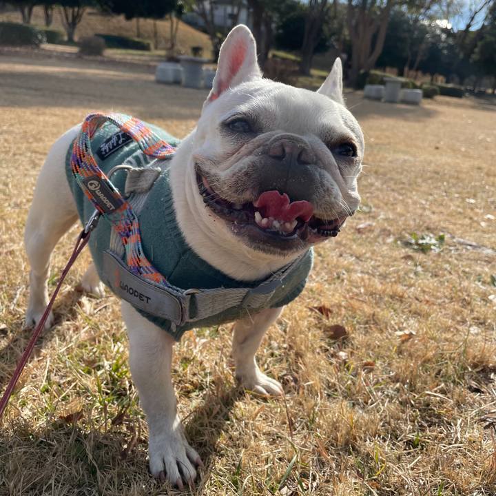 9f676b46 d649 45e0 beae bd4ab533a52c 1769323157191