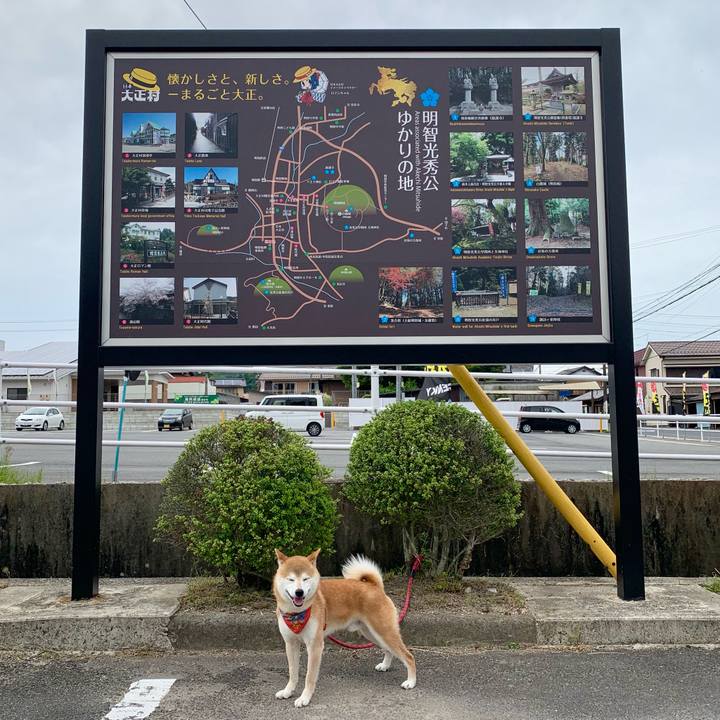 9f6789f8 65fe 4657 a0a2 21847240076a 1622966686329