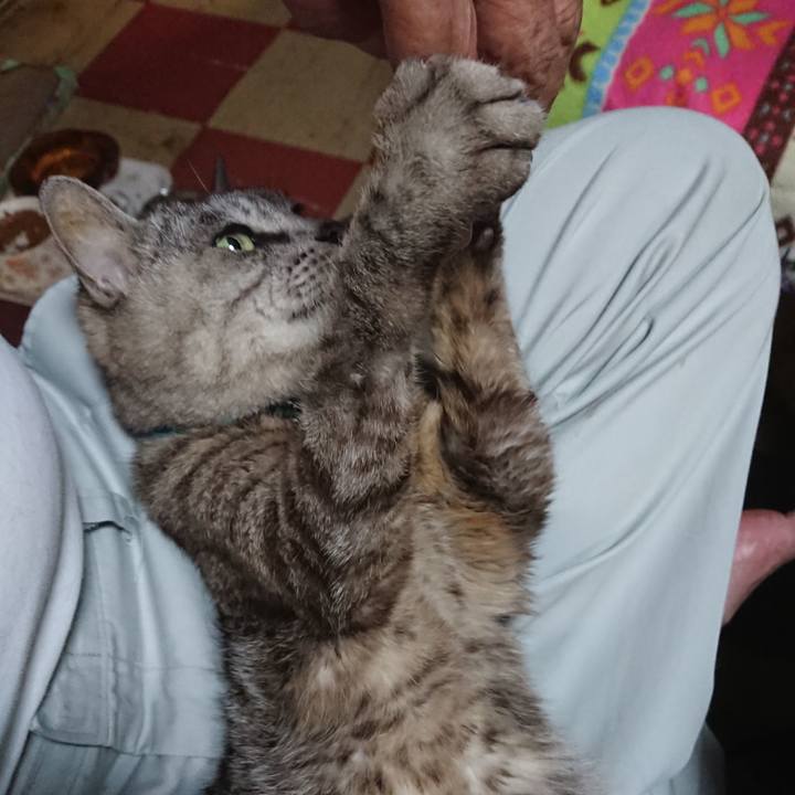 9f678d0e bccd 45f4 bba8 8ca8bdd80b7a 1566554099185