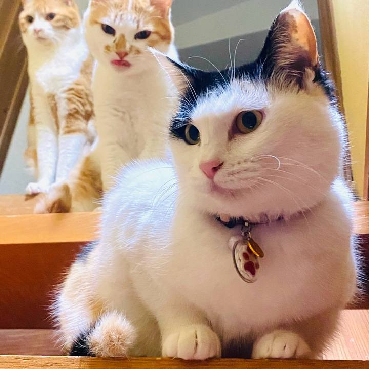 9f67901a 12ee 4a18 92d9 1d9730c1dd73 1710642659518