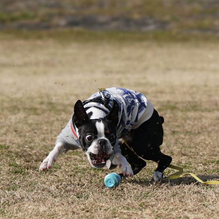 9f6796f9 b8e4 4bcb 91a9 38ecaf837062 1515489105819