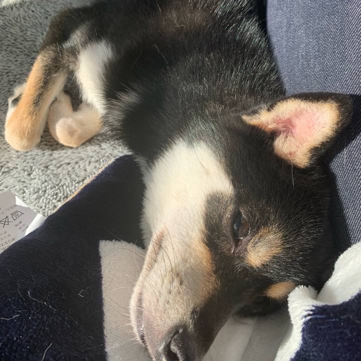 9f67995f 7041 4ecf 968c 23e334ac74e6 1640234309410