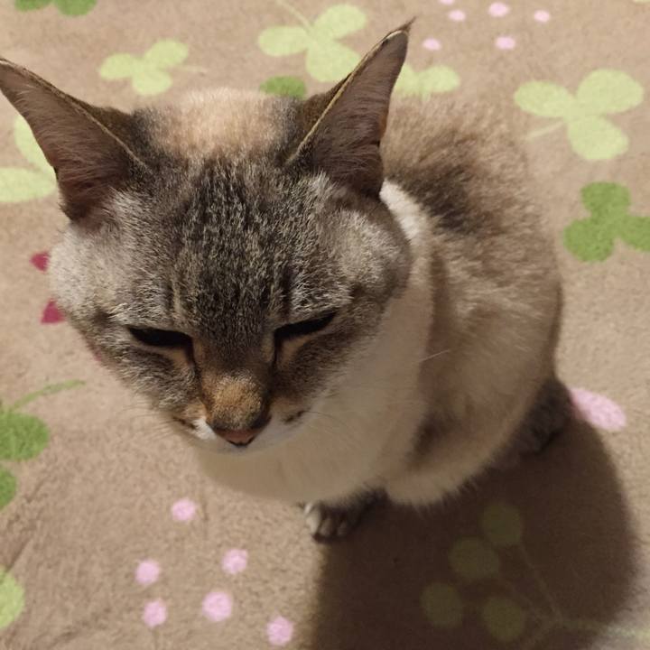 9f67ca08 6681 4396 8e91 1ac722b3d126 1523887736743