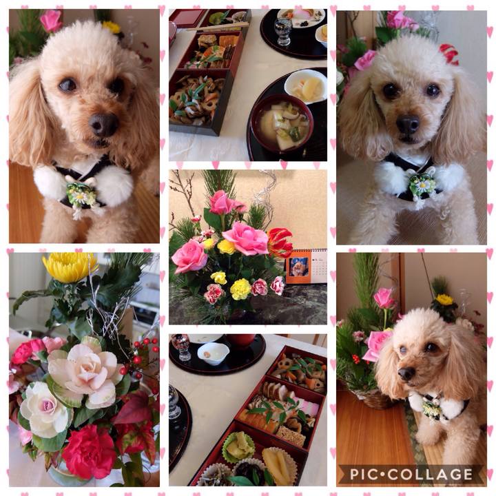 9f67dcec 13a0 424a b3d4 ed29a7c71a6c 1577872991840