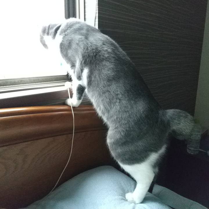 9f684618 459b 4c6c b772 34da39783040 1602113032910