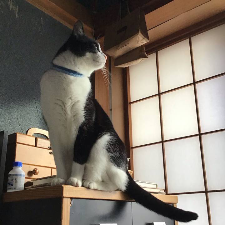 9f684947 b9cc 454e 96eb 09a42a86a051 1732577849147