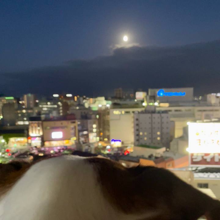 9f6869eb 2545 4fcb 8ce5 5150886fad52 1759741547366