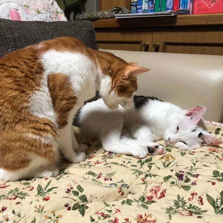 9f689d2d a3bb 4a85 b0e3 b77f7d98f6c0 1521903567245