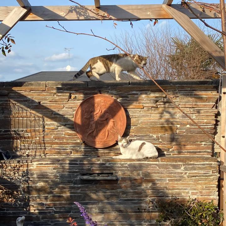 9f68ea4c c352 4e7c 9274 32ce50ff77f0 1579416209423