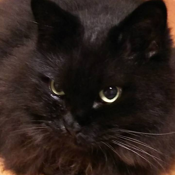 9f690880 b700 408c a831 90a59cb18057 1534768010565