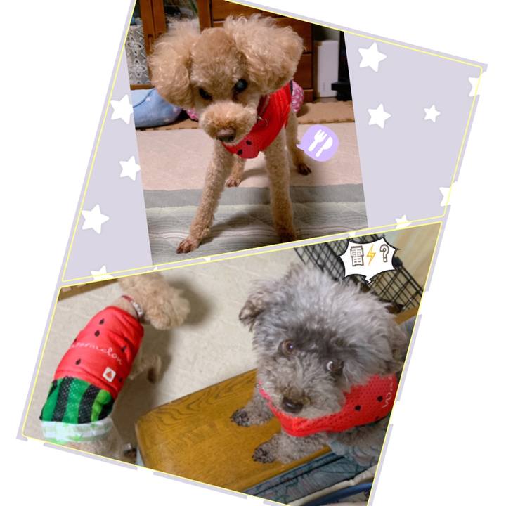 9f6930ce e0ff 40a2 a7b6 cf709d07b274 1624443657925