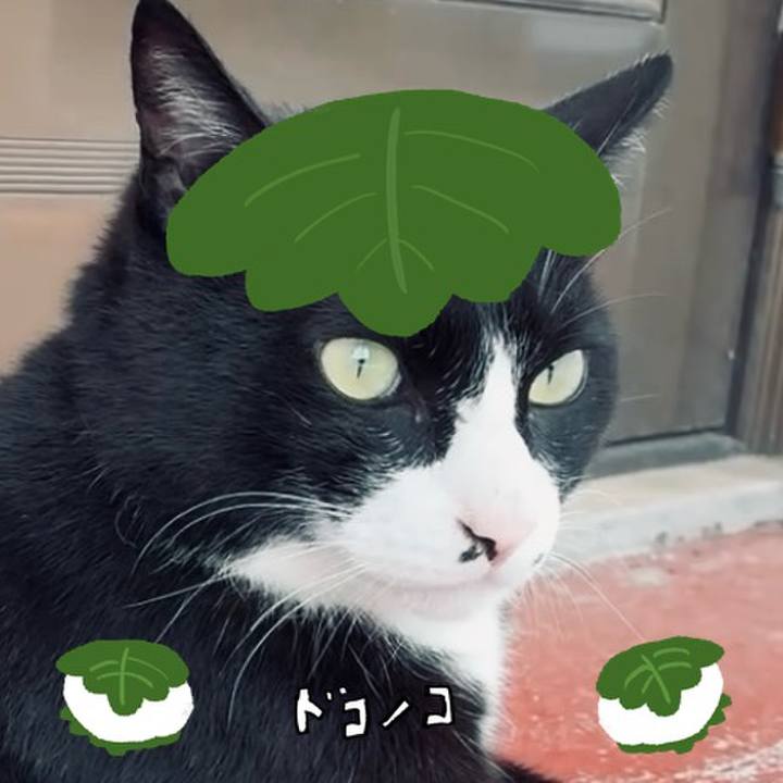 9f699e5f c5c1 4f20 80e8 77851c130ca2 1749089863709