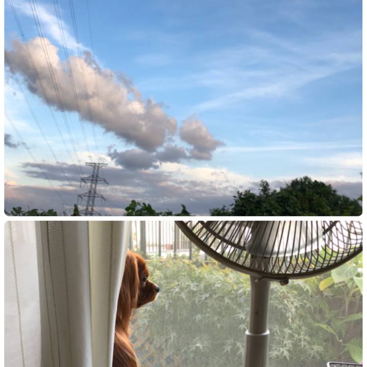 9f699e95 1f47 4d2f bcb2 660058b30eaa 1539511945437