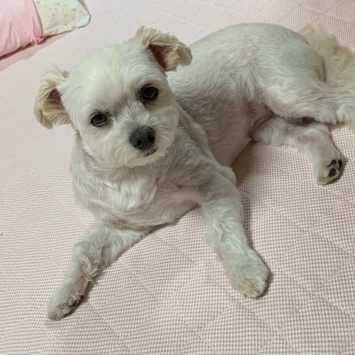 9f69a2f1 ba36 44ed 8b33 c129f4d11b44 1567593743520