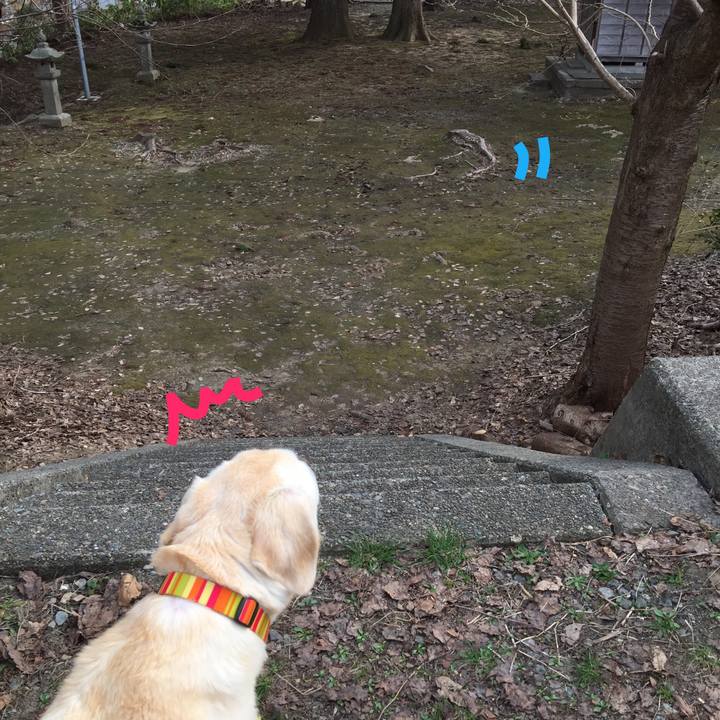 9f69ba19 5c99 4915 b242 064e42bcef34 1522566397704