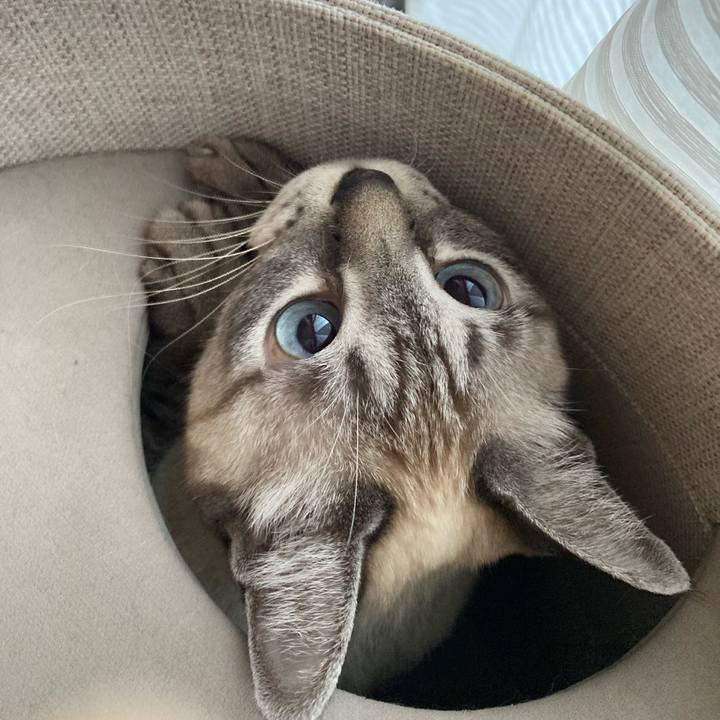 9f69e1de f3df 439f a5cd ecc7d97010cd 1638748699712