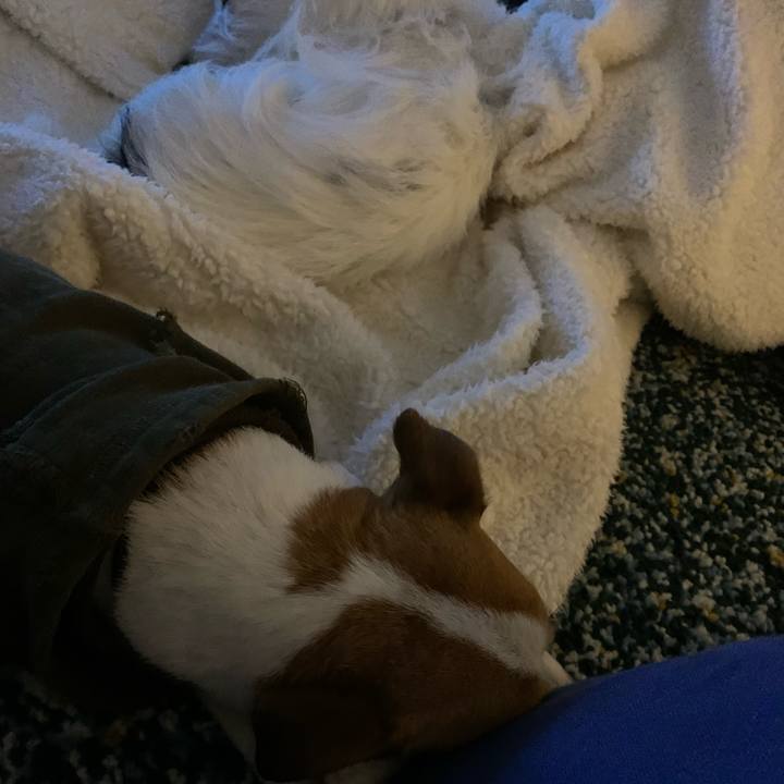 9f69fff0 fc45 4294 be9d cd1654d07d44 1573913698338