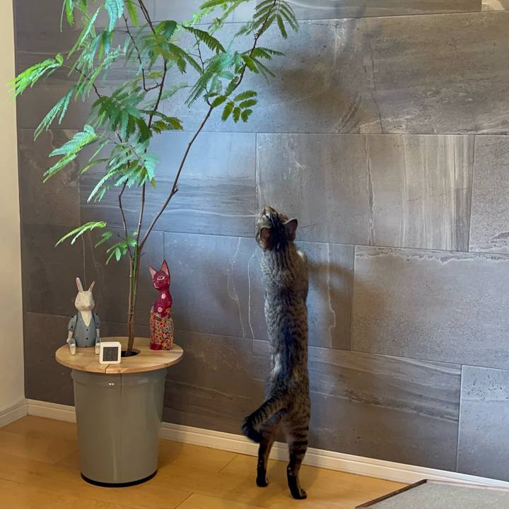 9f6a007c 648b 41ab 87e6 0faa346a4b88 1762587455026