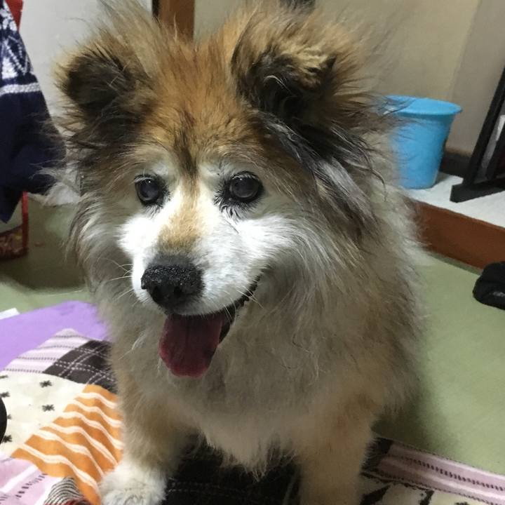 9f6a4852 8d81 461f 9d35 ed3d4f2cabe0 1611184199894