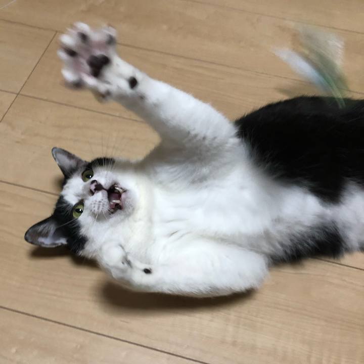 9f6a48d2 dbfe 43e3 8b9d 9f11206a888b 1563113590013