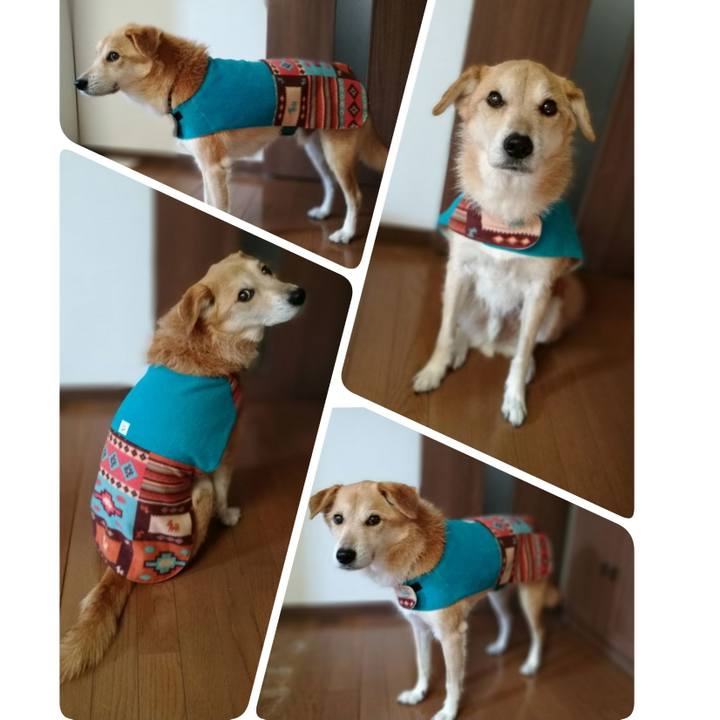 9f6a4f61 8e24 440a b5c2 74ab307c4b6e 1512550337125